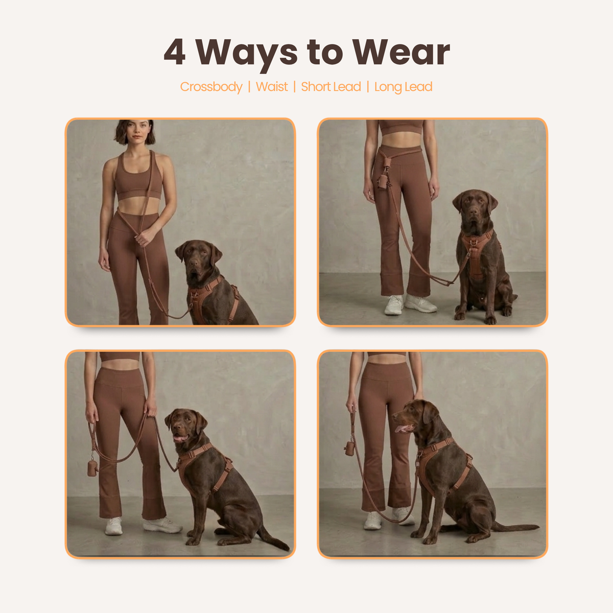 3-in-1 No Pull Dog Harness & Leash Set