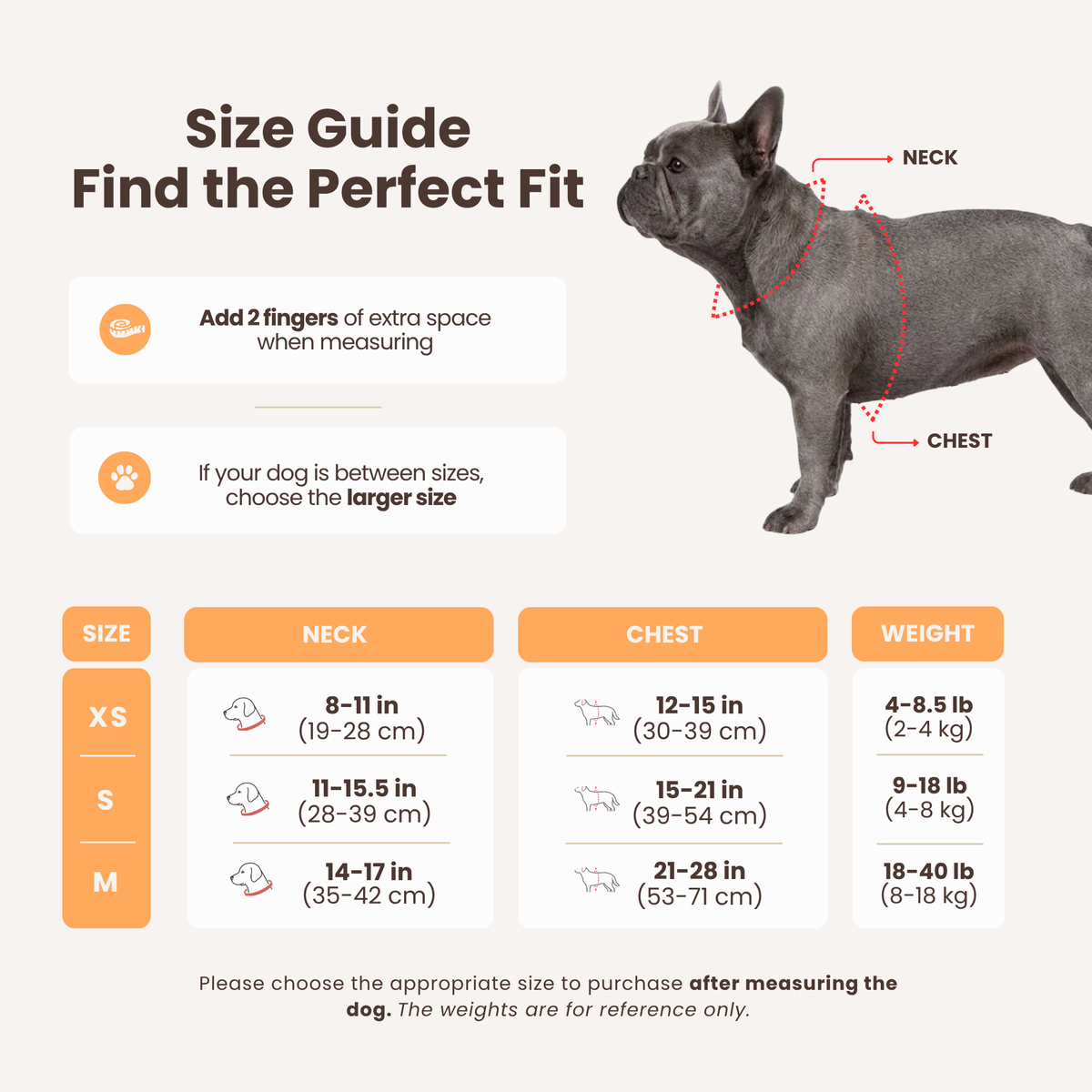 3-in-1 No Pull Dog Harness & Leash Set