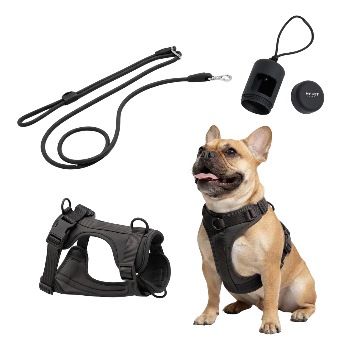 3-in-1 No Pull Dog Harness & Leash Set
