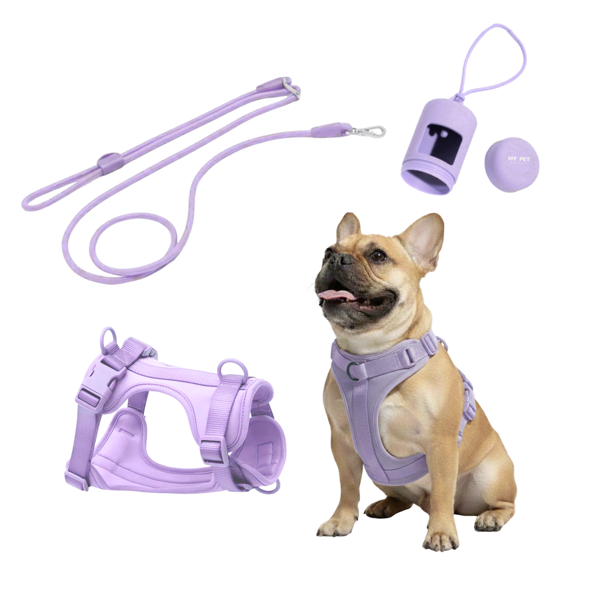 3-in-1 No Pull Dog Harness & Leash Set