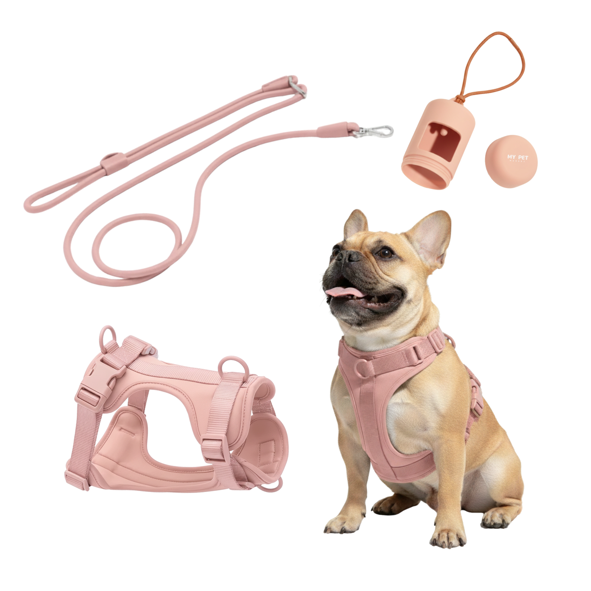 3-in-1 No Pull Dog Harness & Leash Set