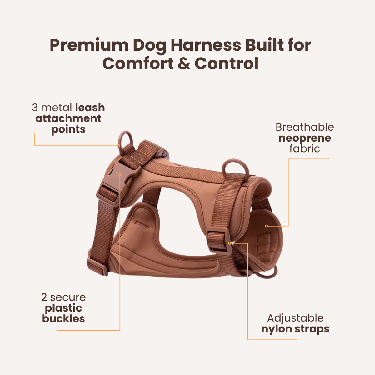 3-in-1 No Pull Dog Harness & Leash Set